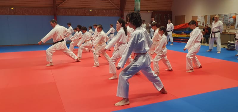 Stage Stéphane CASTRIQUE 7ème DAN SKIF - 03/11/2025