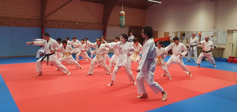 Stage Stéphane CASTRIQUE 7ème DAN SKIF - 03/11/2025