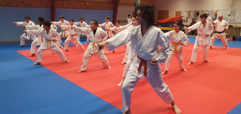 Stage Stéphane CASTRIQUE 7ème DAN SKIF - 03/11/2025