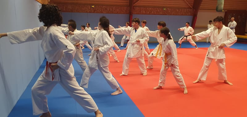 Stage Stéphane CASTRIQUE 7ème DAN SKIF - 03/11/2025