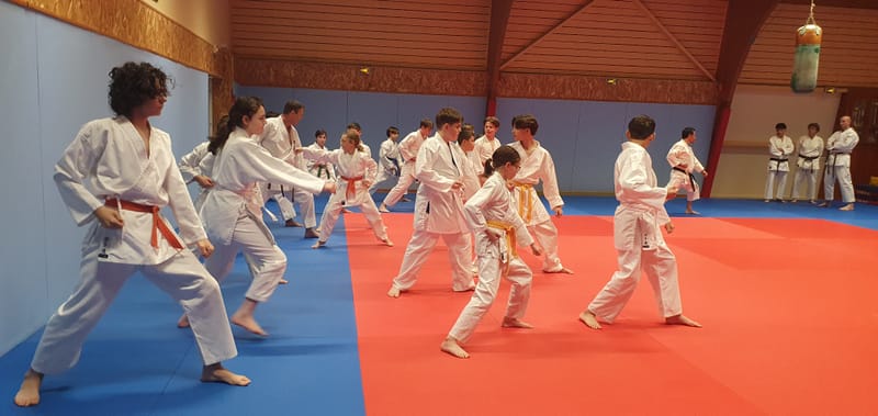 Stage Stéphane CASTRIQUE 7ème DAN SKIF - 03/11/2025