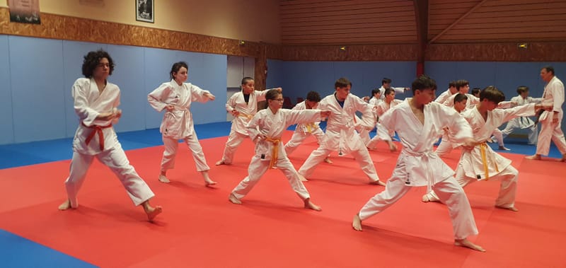 Stage Stéphane CASTRIQUE 7ème DAN SKIF - 03/11/2025