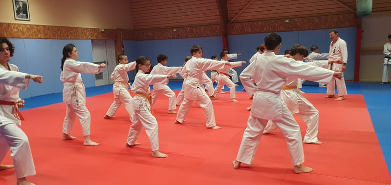 Stage Stéphane CASTRIQUE 7ème DAN SKIF - 03/11/2025