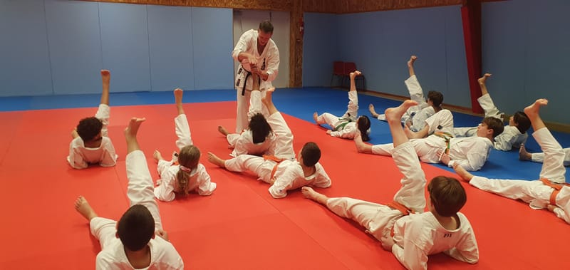 Stage Stéphane CASTRIQUE 7ème DAN SKIF - 03/11/2025