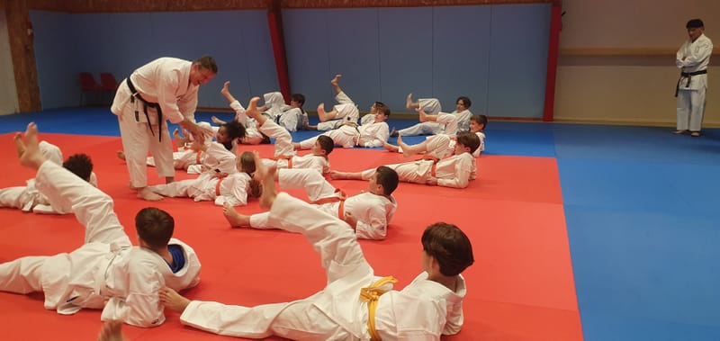 Stage Stéphane CASTRIQUE 7ème DAN SKIF - 03/11/2025