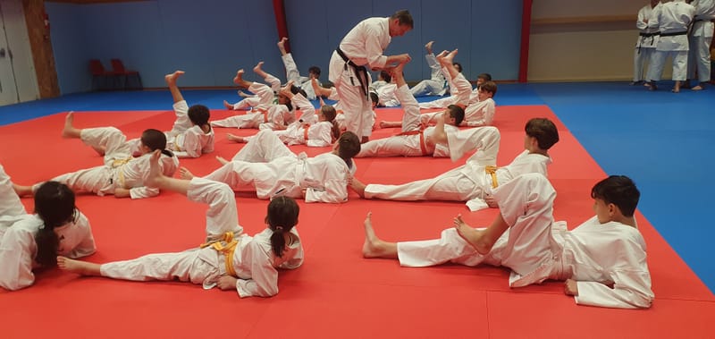 Stage Stéphane CASTRIQUE 7ème DAN SKIF - 03/11/2025