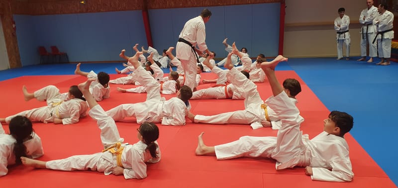 Stage Stéphane CASTRIQUE 7ème DAN SKIF - 03/11/2025