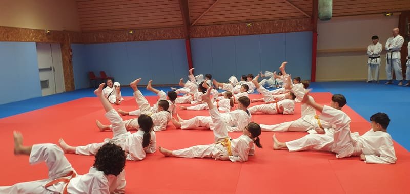 Stage Stéphane CASTRIQUE 7ème DAN SKIF - 03/11/2025