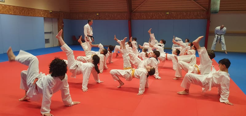 Stage Stéphane CASTRIQUE 7ème DAN SKIF - 03/11/2025