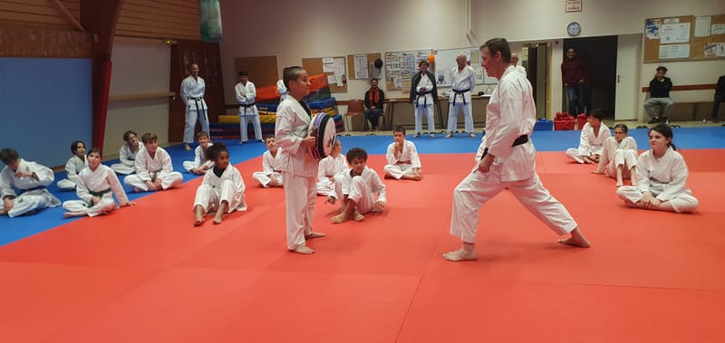 Stage Stéphane CASTRIQUE 7ème DAN SKIF - 03/11/2025