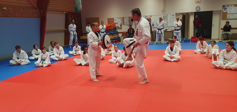 Stage Stéphane CASTRIQUE 7ème DAN SKIF - 03/11/2025