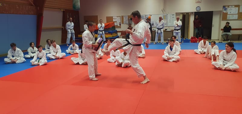 Stage Stéphane CASTRIQUE 7ème DAN SKIF - 03/11/2025