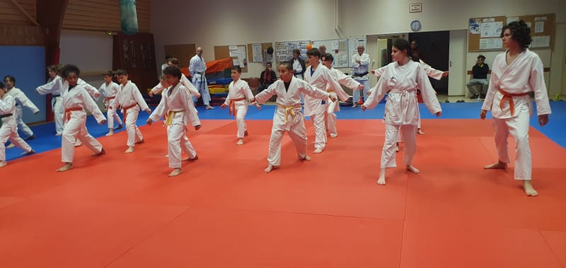 Stage Stéphane CASTRIQUE 7ème DAN SKIF - 03/11/2025