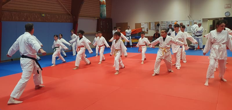 Stage Stéphane CASTRIQUE 7ème DAN SKIF - 03/11/2025