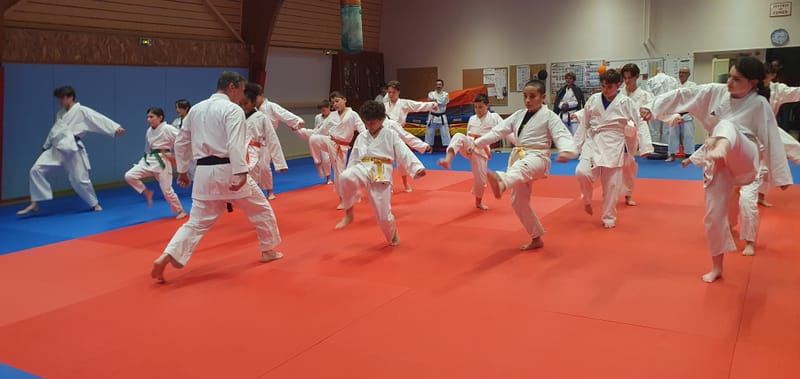 Stage Stéphane CASTRIQUE 7ème DAN SKIF - 03/11/2025