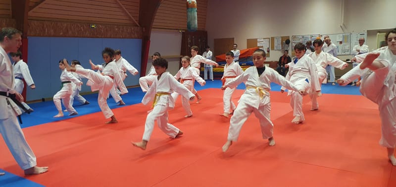 Stage Stéphane CASTRIQUE 7ème DAN SKIF - 03/11/2025