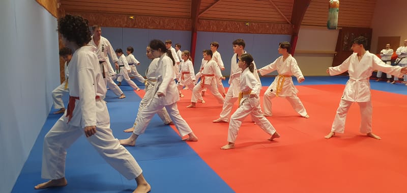 Stage Stéphane CASTRIQUE 7ème DAN SKIF - 03/11/2025