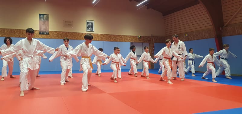 Stage Stéphane CASTRIQUE 7ème DAN SKIF - 03/11/2025