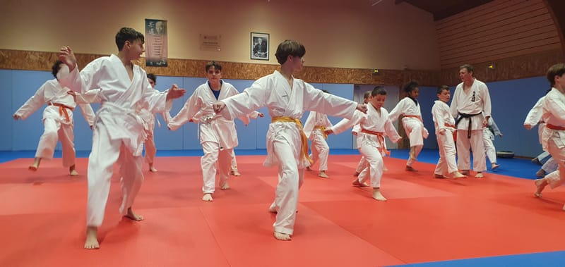 Stage Stéphane CASTRIQUE 7ème DAN SKIF - 03/11/2025