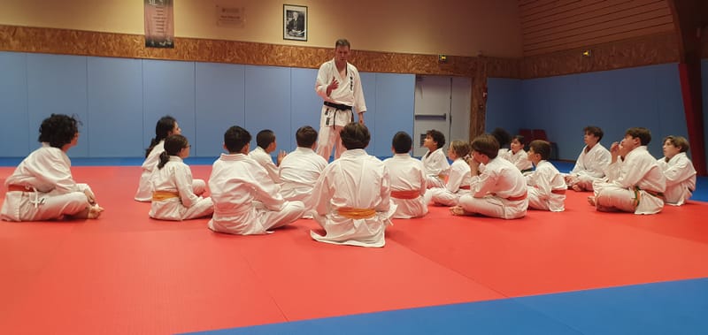 Stage Stéphane CASTRIQUE 7ème DAN SKIF - 03/11/2025