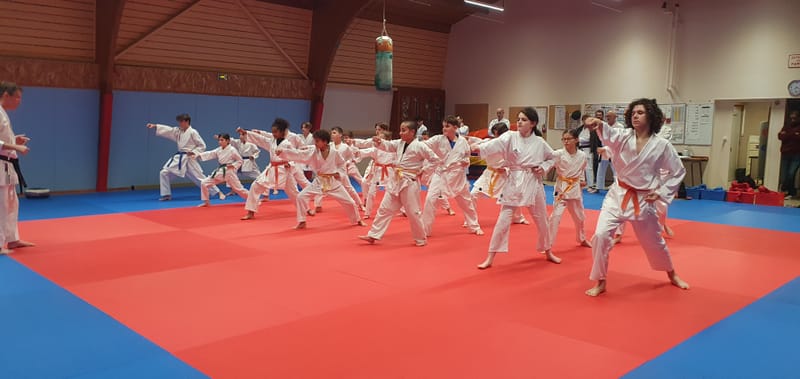 Stage Stéphane CASTRIQUE 7ème DAN SKIF - 03/11/2025