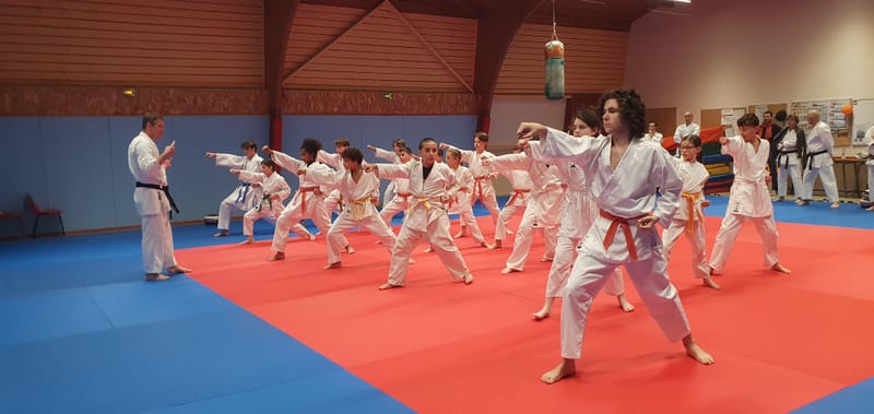 Stage Stéphane CASTRIQUE 7ème DAN SKIF - 03/11/2025