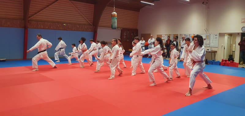 Stage Stéphane CASTRIQUE 7ème DAN SKIF - 03/11/2025