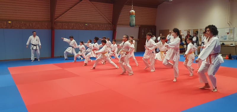 Stage Stéphane CASTRIQUE 7ème DAN SKIF - 03/11/2025