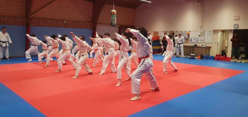 Stage Stéphane CASTRIQUE 7ème DAN SKIF - 03/11/2025