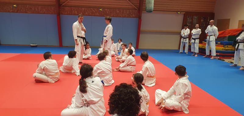 Stage Stéphane CASTRIQUE 7ème DAN SKIF - 03/11/2025