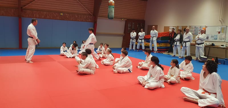 Stage Stéphane CASTRIQUE 7ème DAN SKIF - 03/11/2025