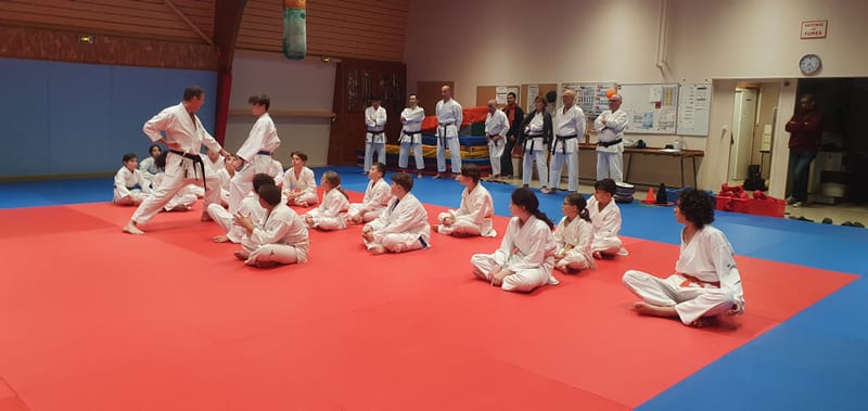 Stage Stéphane CASTRIQUE 7ème DAN SKIF - 03/11/2025