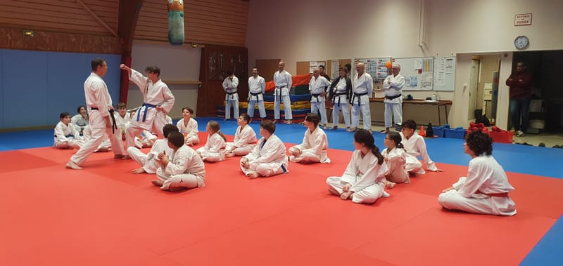 Stage Stéphane CASTRIQUE 7ème DAN SKIF - 03/11/2025