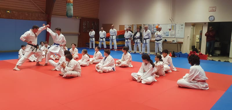 Stage Stéphane CASTRIQUE 7ème DAN SKIF - 03/11/2025