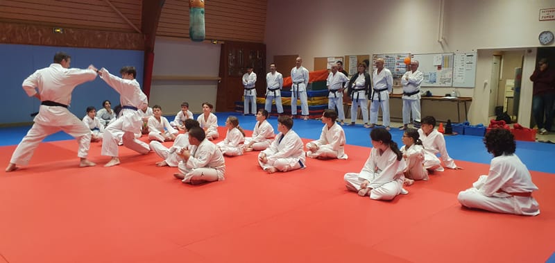 Stage Stéphane CASTRIQUE 7ème DAN SKIF - 03/11/2025