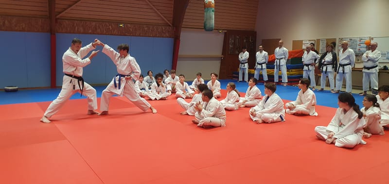 Stage Stéphane CASTRIQUE 7ème DAN SKIF - 03/11/2025