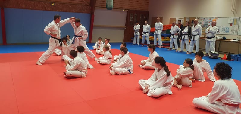 Stage Stéphane CASTRIQUE 7ème DAN SKIF - 03/11/2025