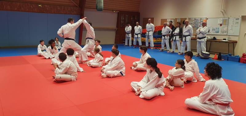 Stage Stéphane CASTRIQUE 7ème DAN SKIF - 03/11/2025