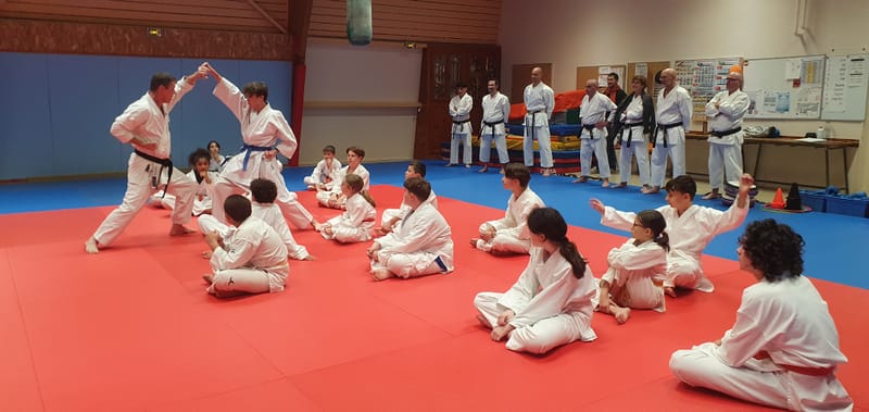 Stage Stéphane CASTRIQUE 7ème DAN SKIF - 03/11/2025