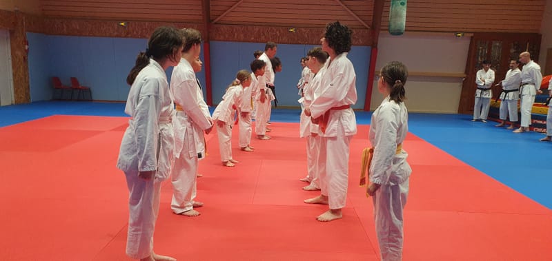 Stage Stéphane CASTRIQUE 7ème DAN SKIF - 03/11/2025