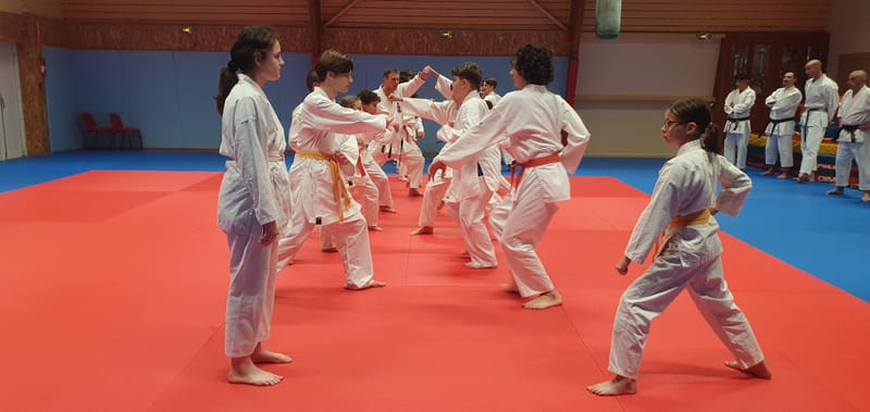 Stage Stéphane CASTRIQUE 7ème DAN SKIF - 03/11/2025