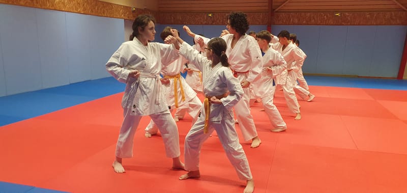 Stage Stéphane CASTRIQUE 7ème DAN SKIF - 03/11/2025