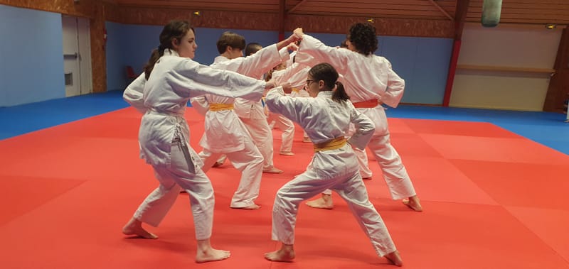 Stage Stéphane CASTRIQUE 7ème DAN SKIF - 03/11/2025