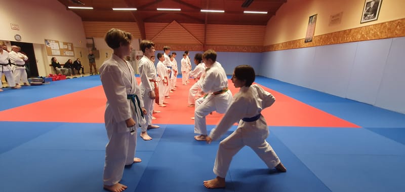 Stage Stéphane CASTRIQUE 7ème DAN SKIF - 03/11/2025