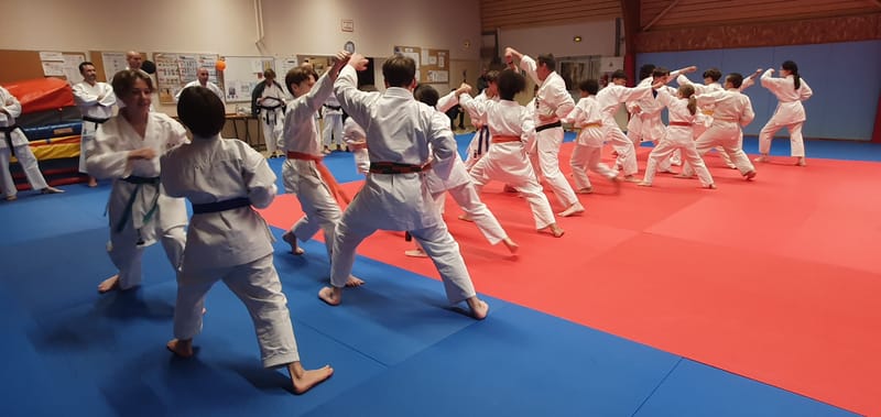 Stage Stéphane CASTRIQUE 7ème DAN SKIF - 03/11/2025