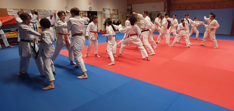 Stage Stéphane CASTRIQUE 7ème DAN SKIF - 03/11/2025