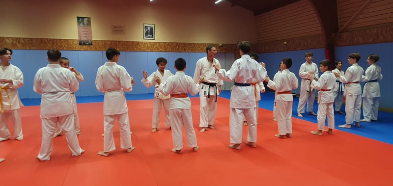 Stage Stéphane CASTRIQUE 7ème DAN SKIF - 03/11/2025