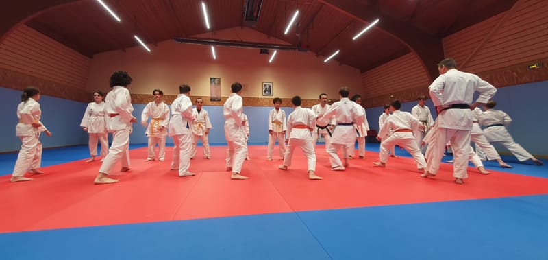 Stage Stéphane CASTRIQUE 7ème DAN SKIF - 03/11/2025