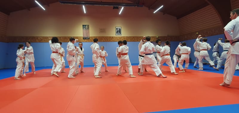 Stage Stéphane CASTRIQUE 7ème DAN SKIF - 03/11/2025