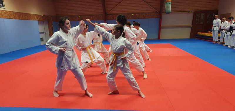 Stage Stéphane CASTRIQUE 7ème DAN SKIF - 03/11/2025